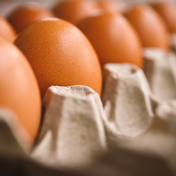 Eggs