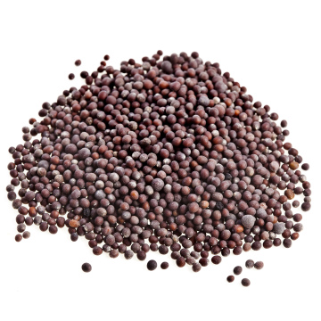 Mustard Seed