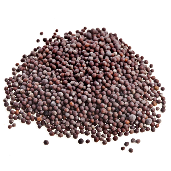 Mustard Seed