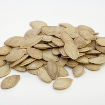 Squash Seed