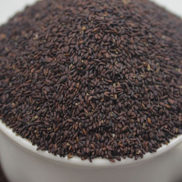 Peppermint Seed