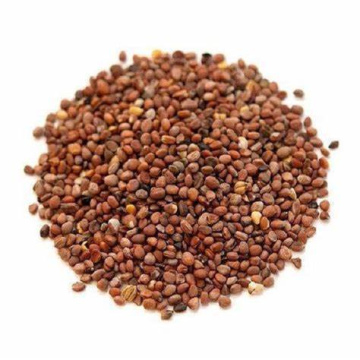 Radish Seed