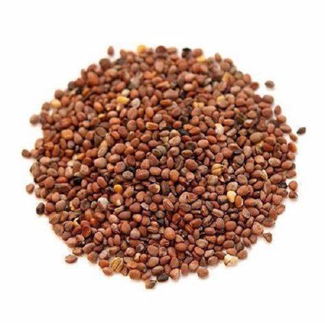 Radish Seed