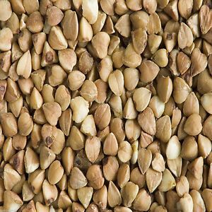 Buckwheat Seed